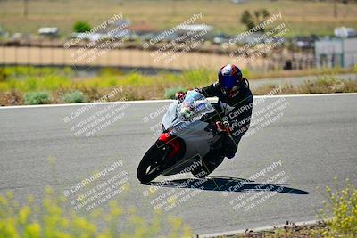 media/May-10-2024-2WTD (Fri) [[c88d7990af]]/Group B/Session 2-The Bowl/